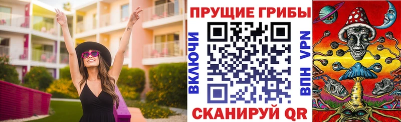 где купить наркоту  Тотьма  Галлюциногенные грибы Psilocybe 