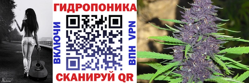 закладки  Тотьма  Бошки Шишки VHQ 